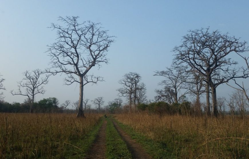 ShuklaPhata Wildlife Reserve