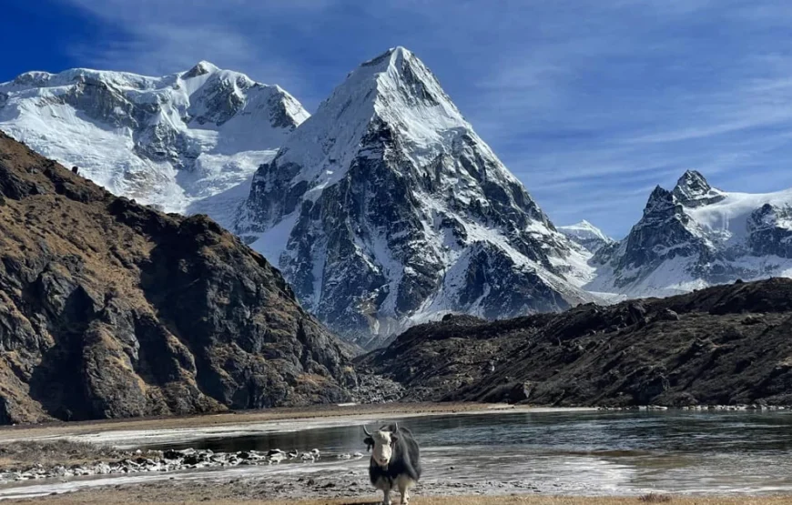 Kanchenjunga Trek