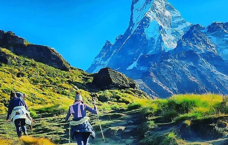 Mardi Himal